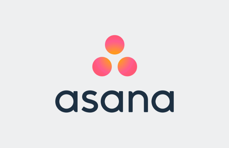 Image of: Asana API